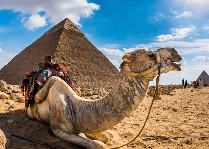 Trip to Egypt