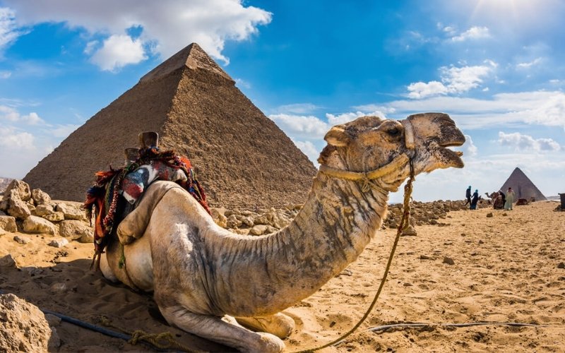 Trip to Egypt