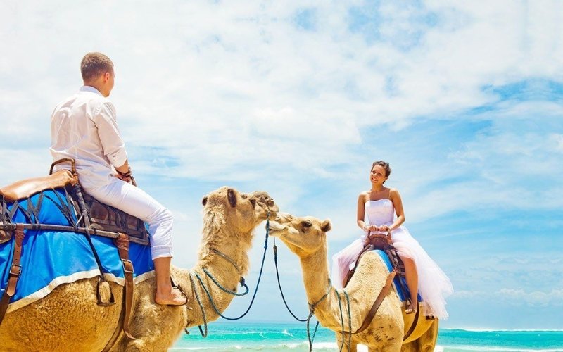 Best time to go to Egypt for honeymoon