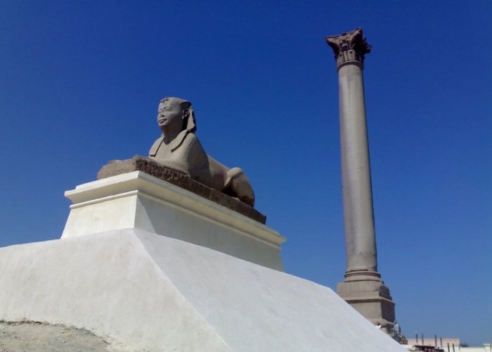 things to do in Alexnadria