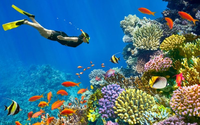 Egypt in December